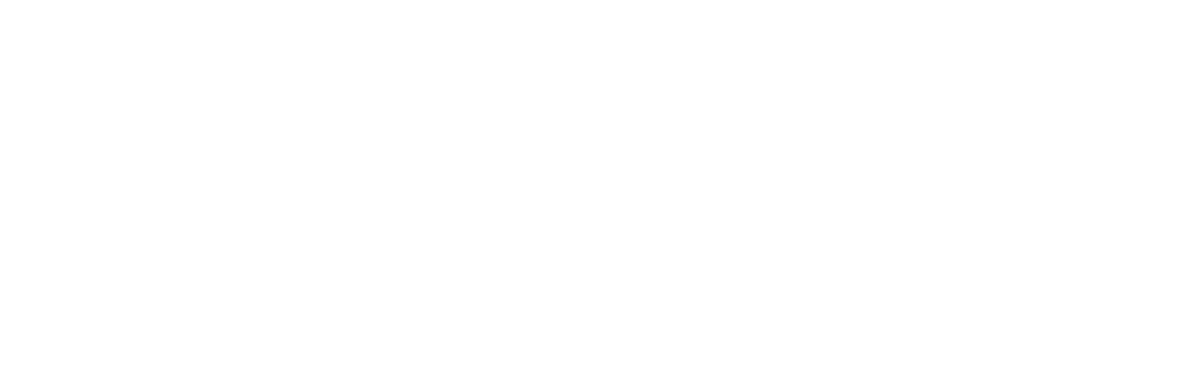 Parceiro Autorizado Vivo